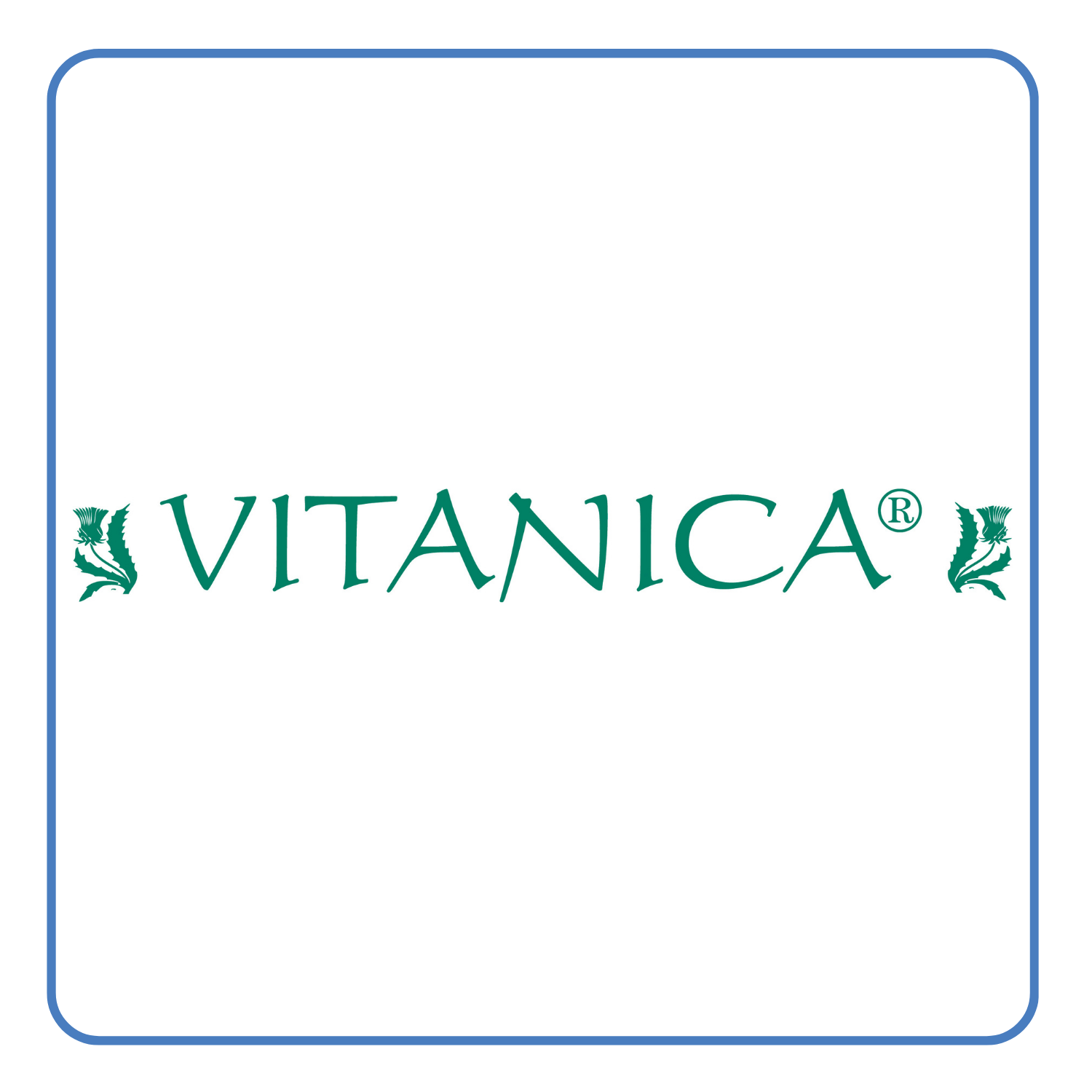 Vitanica WEB logo
